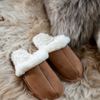 Cathy Slipper