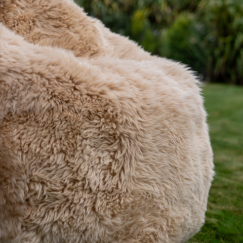 Bean Bag
