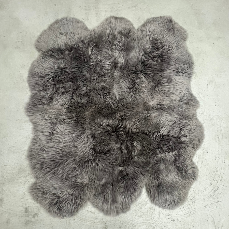 Sexto Special - Grey