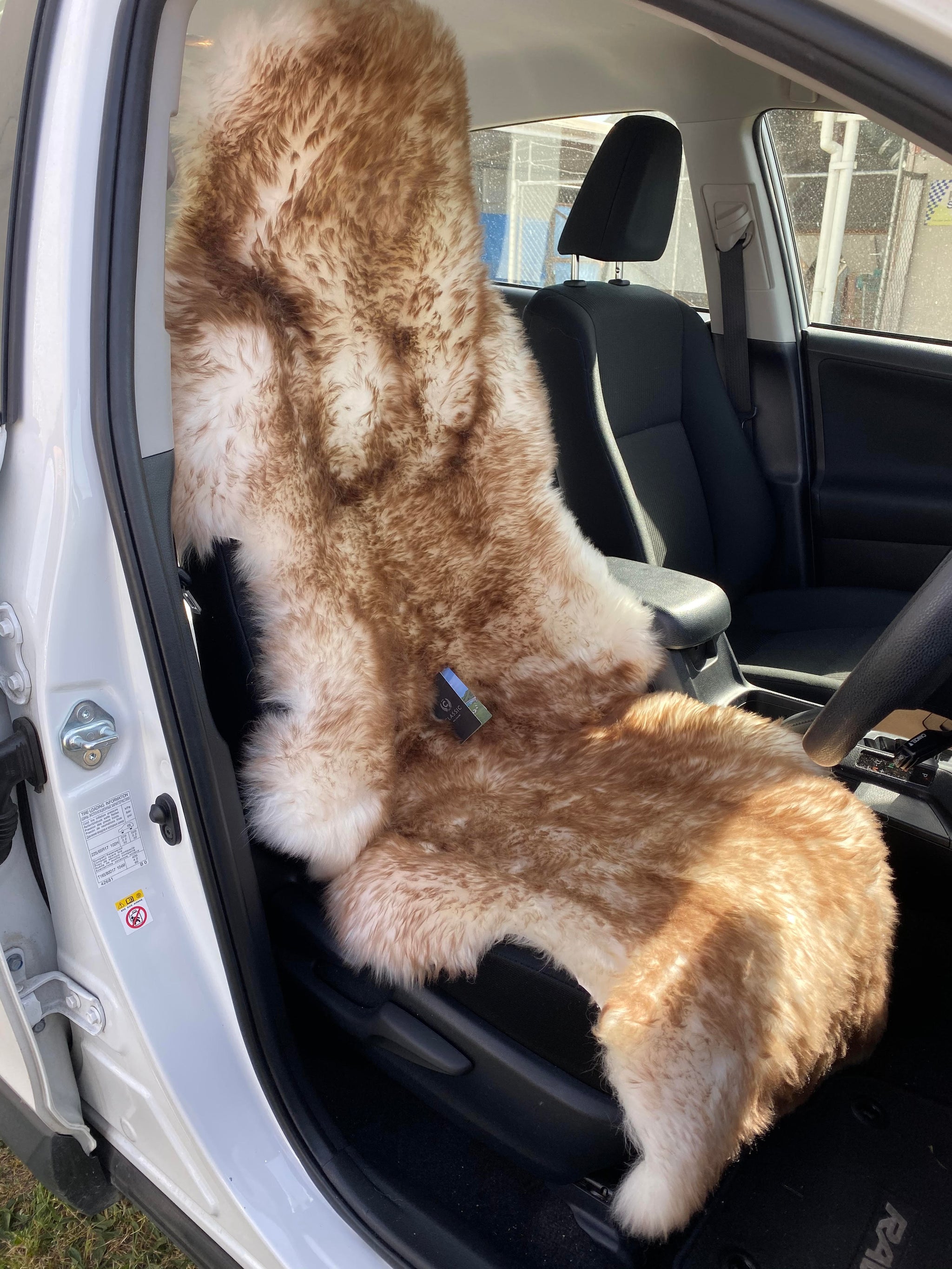 Buy Sheepskin Car Seat Cover Online | Classic Sheepskins